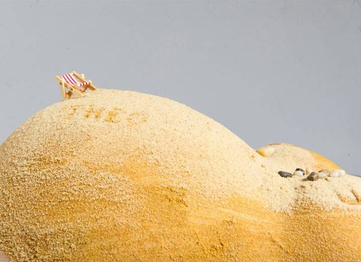 아내의 임신 소식을 알리는 포토그래퍼 남편의 특별한 방법.jpg | 인스티즈