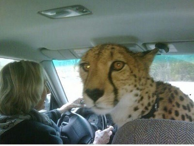 ???: 뒤에 조용히 안하니 | 인스티즈