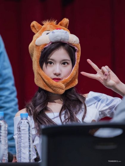 트와이스 사나와 지효 | 인스티즈