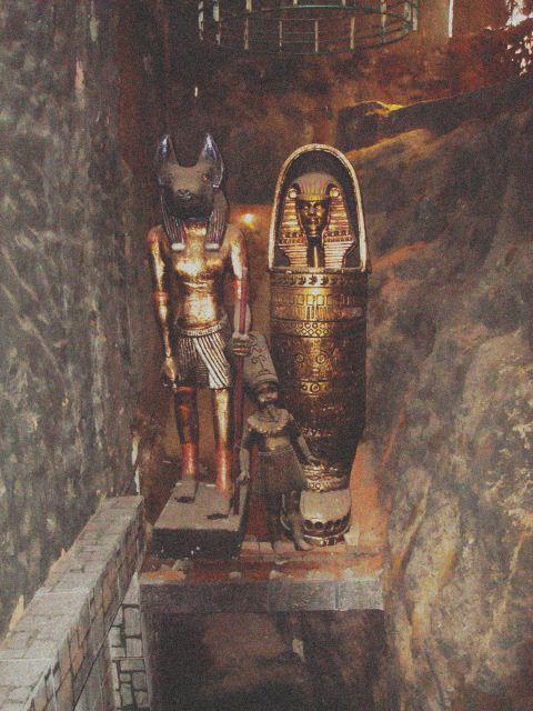 절대 털끝 하나 다치지 않는다는 가정하에,문명을 경험할 수 있다면? | 인스티즈