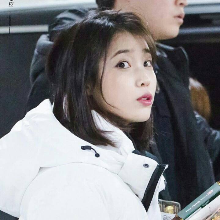 아이유 | 인스티즈