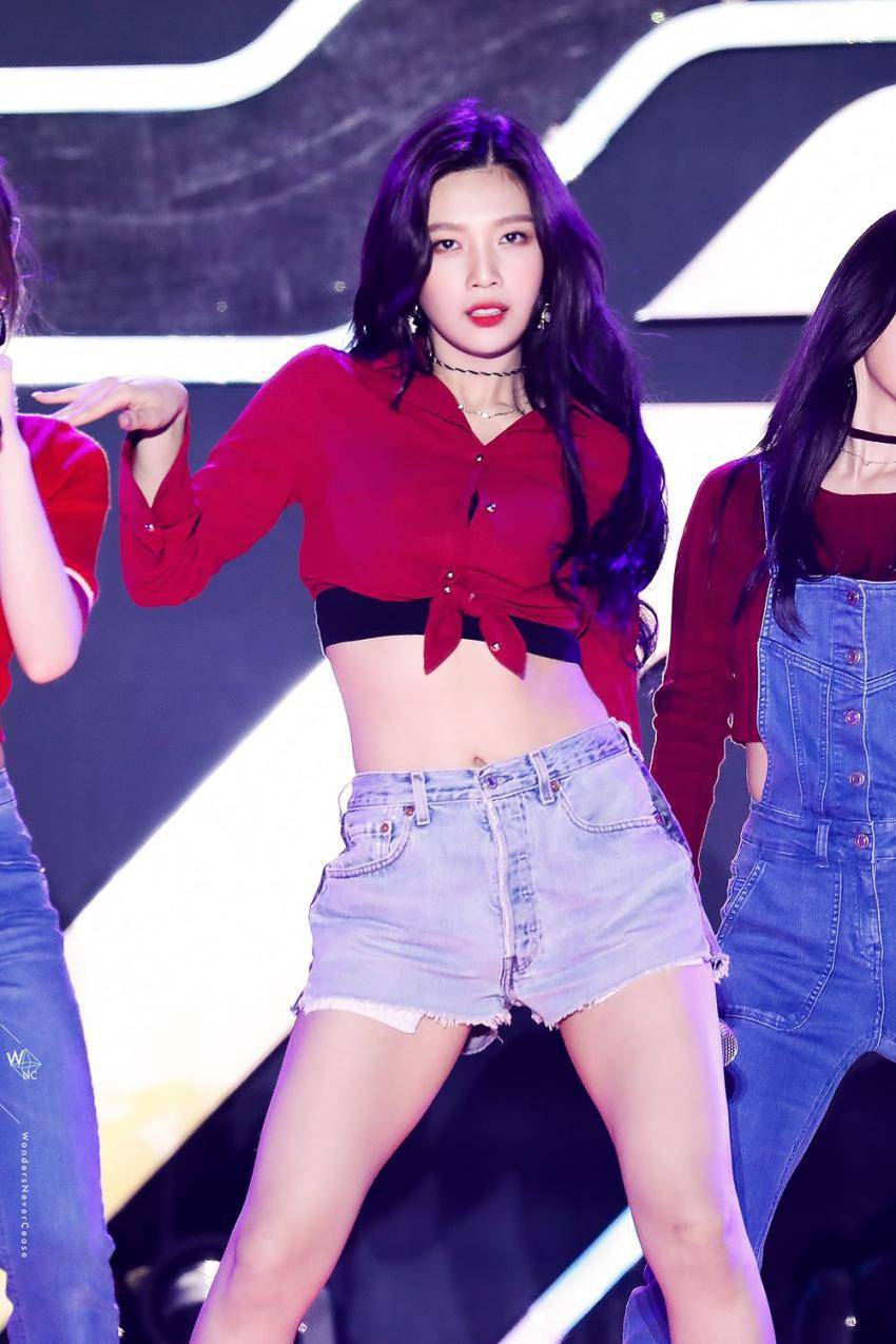 피버 페스티벌 레드벨벳 | 인스티즈