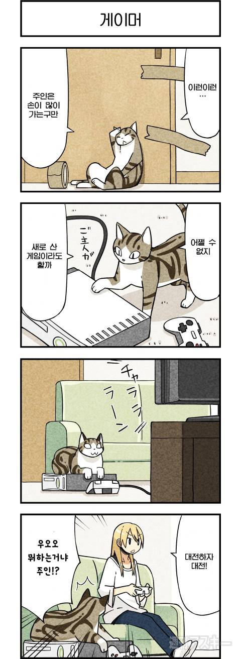 고양이가 말하는 만화.JPG | 인스티즈