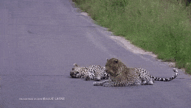 눈치줘도 쌩까는 남편. gif | 인스티즈