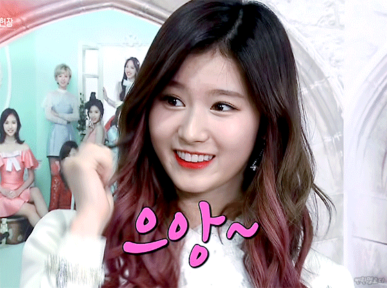 볼살있는 트와이스 사나 | 인스티즈