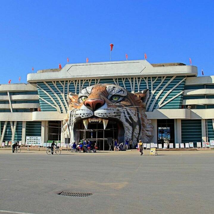 중국,인도네시아,북한의 동물원 (혐오주의) | 인스티즈