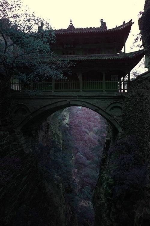 절대 털끝 하나 다치지 않는다는 가정하에,문명을 경험할 수 있다면? | 인스티즈