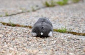 여자들이 반할 수 밖에 없다는 뒷모습 ㄷㄷㄷ.JPG | 인스티즈