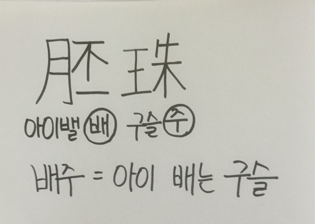 아들도 못낳는 게 자궁이냐 | 인스티즈