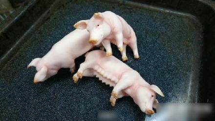 너무나 리얼해서 잘 안팔린다는 일본의 소시지 | 인스티즈