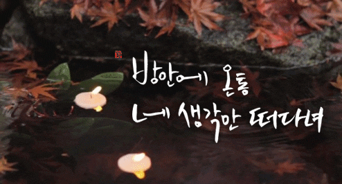 방안에 당신 생각이 가득합니다.jpg | 인스티즈