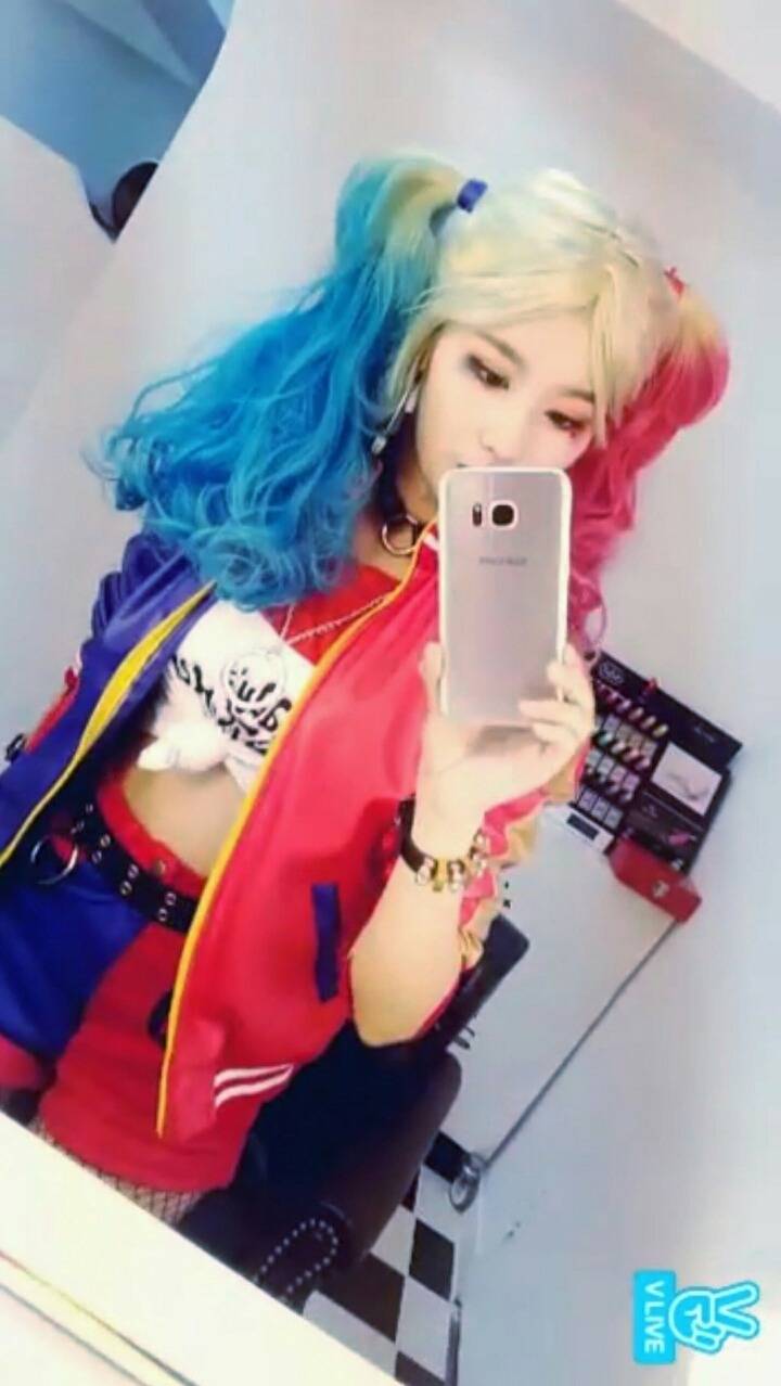 여자 연예인 할리퀸 코스프레 모음.jpg | 인스티즈