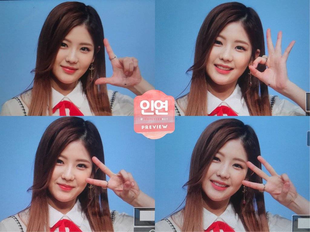 아이린+조헤정+김소희(K팝) 다 닮은 여자 아이돌ㄷㄷㄷ | 인스티즈