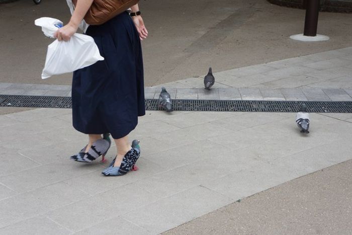 비둘기 먹이 주는 여자들을 위한 신발 | 인스티즈