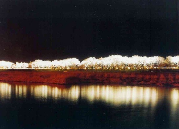 대한민국 최고의 드라이브 코스들 | 인스티즈