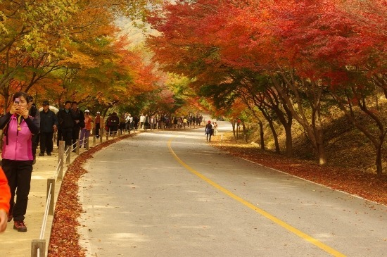 대한민국 최고의 드라이브 코스들 | 인스티즈