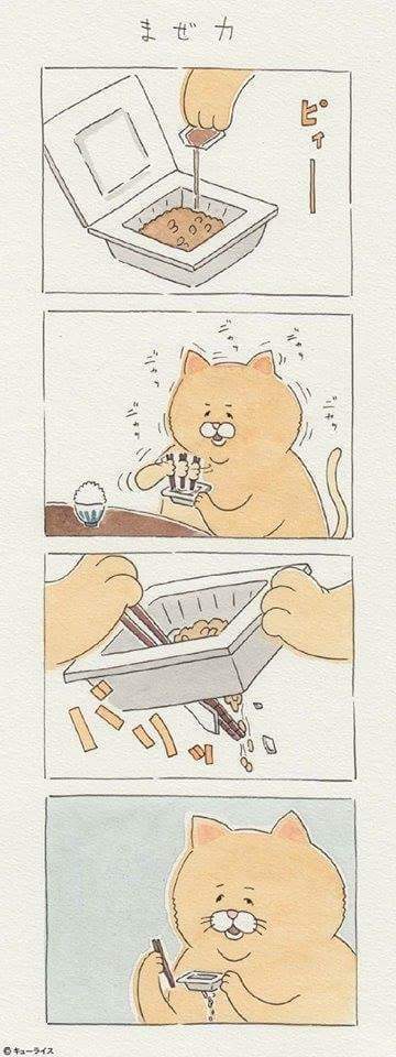 배고픈 고양이 만화 | 인스티즈