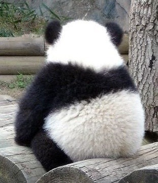 뒷모습 ㄷㄷㄷㄷㄷㄷ | 인스티즈