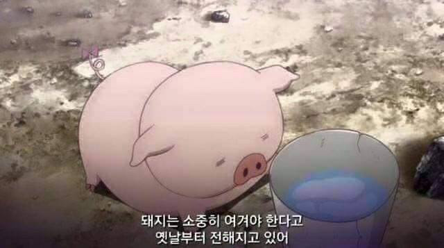 너무나 리얼해서 잘 안팔린다는 일본의 소시지 | 인스티즈