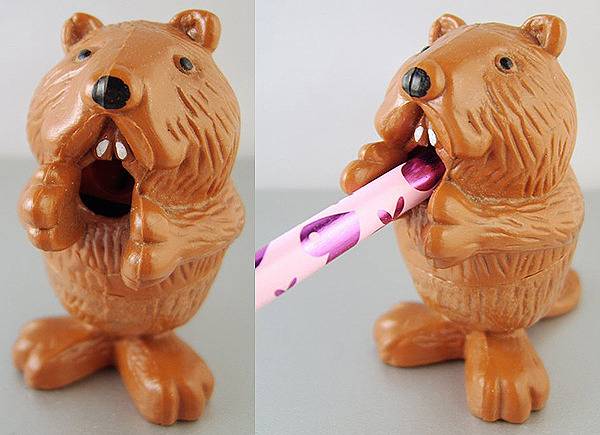 연필깎이 성애자........ (사진주의) | 인스티즈