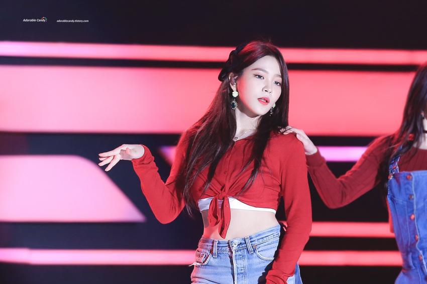 피버 페스티벌 레드벨벳 | 인스티즈