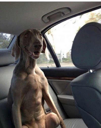 ???: 뒤에 조용히 안하니 | 인스티즈