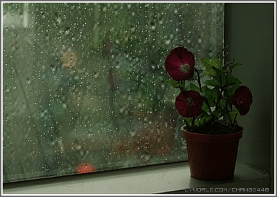 괜히 우울하고 기분 이상하게 만드는날 .jpg | 인스티즈