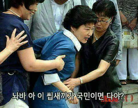 이 박근혜짤 웃기네요 | 인스티즈