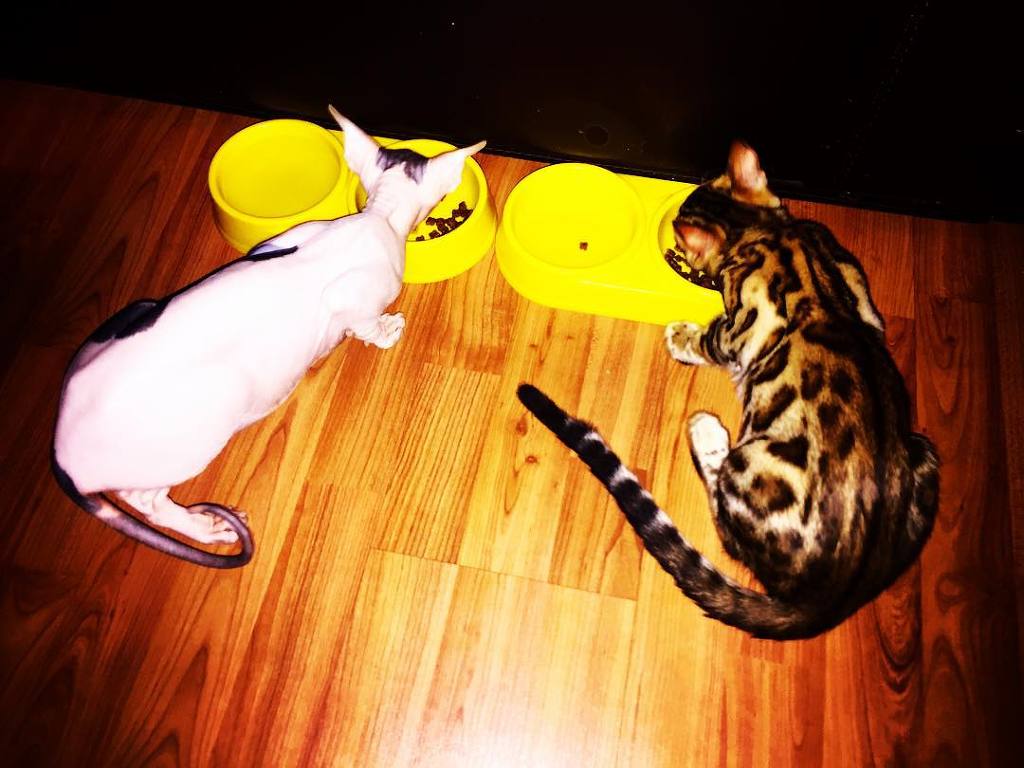  하네다 아이의 남자친구 | 인스티즈