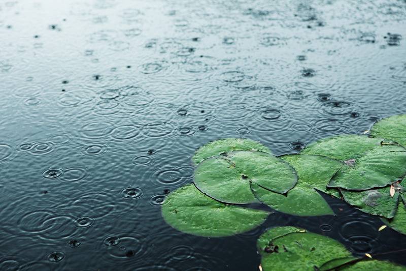 괜히 우울하고 기분 이상하게 만드는날 .jpg | 인스티즈