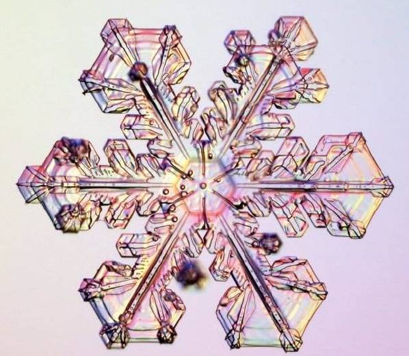 자연의 신비 - 눈결정 | 인스티즈