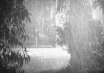 몽상가들에게 영화 추천 프릭스 1932 | 인스티즈