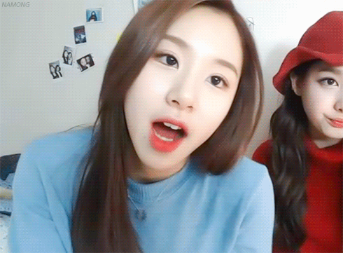 [트와이스] 트와이스 둘째막내 채영이의 별명이 아기맹수인 이유 | 인스티즈