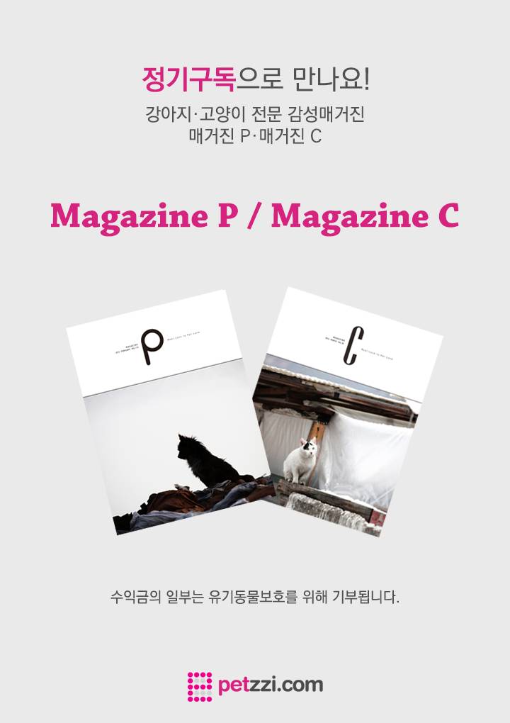 강아지들이 문앞에 앉아있는 이유? (만화) | 인스티즈