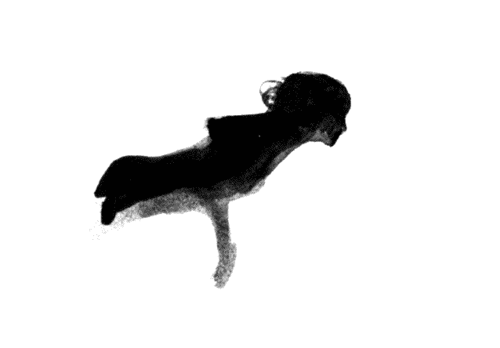 나를 이루는 책들 | 인스티즈