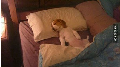 잘자내꿈꿔 | 인스티즈