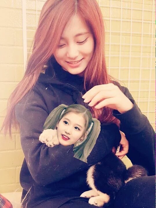 힐링되는 트와이스 사나.gif | 인스티즈