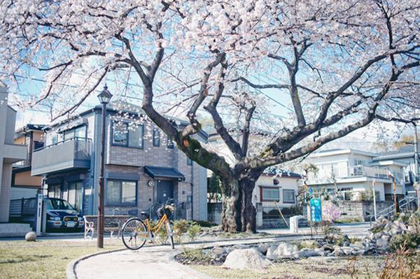 많은 사람들이 좋아하는 일본 특유의 청량감있고 아련한 분위기 | 인스티즈