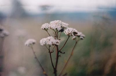 멈추면 비로소 보이는것들 : 휴식의장 | 인스티즈