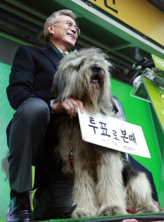 진짜 다 잘 어울리는 문재인;.jpg | 인스티즈