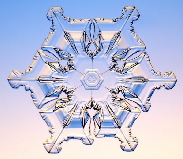 자연의 신비 - 눈결정 | 인스티즈