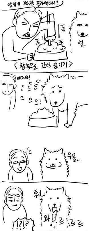 개 키우는 사람 공감97.5퍼 만화 | 인스티즈