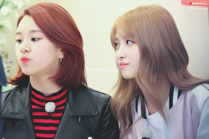 트와이스 좁발이 | 인스티즈