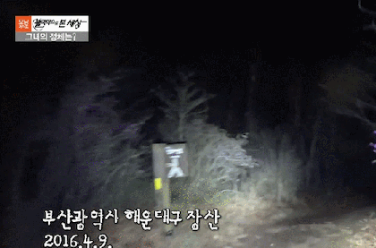 블랙박스로 본 세상 야간 산악자전거 (소름) | 인스티즈