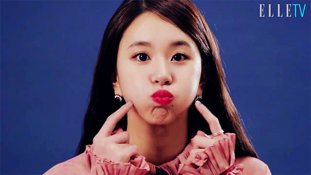 트와이스 아기맹수 손채영 | 인스티즈