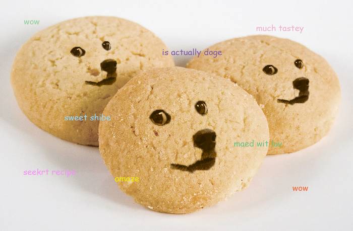 견종 이야기 - 시바견 | 인스티즈