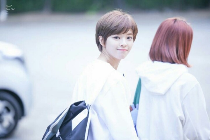 [트와이스] 나정효 출퇴근길 모음 | 인스티즈