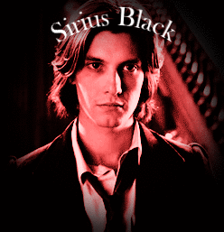 텀블러에서 양덕들이 젊은 시리우스 블랙으로 밀고있는 배우 | 인스티즈