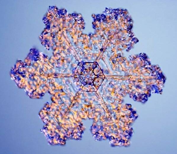 자연의 신비 - 눈결정 | 인스티즈