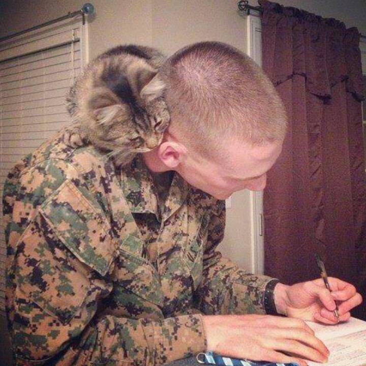 사람과 교감하는 고양이.jpg | 인스티즈